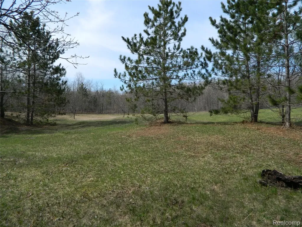 0000 Northland Drive Maple Forest Township MI 49733
