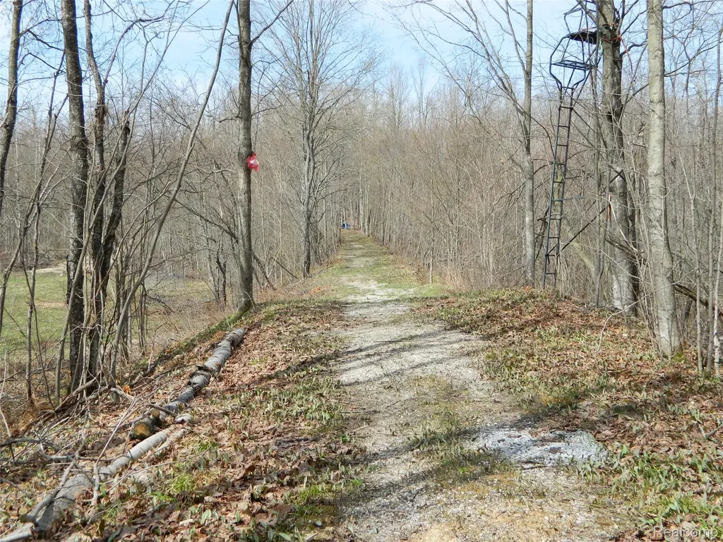 0000 Northland Drive Maple Forest Township MI 49733