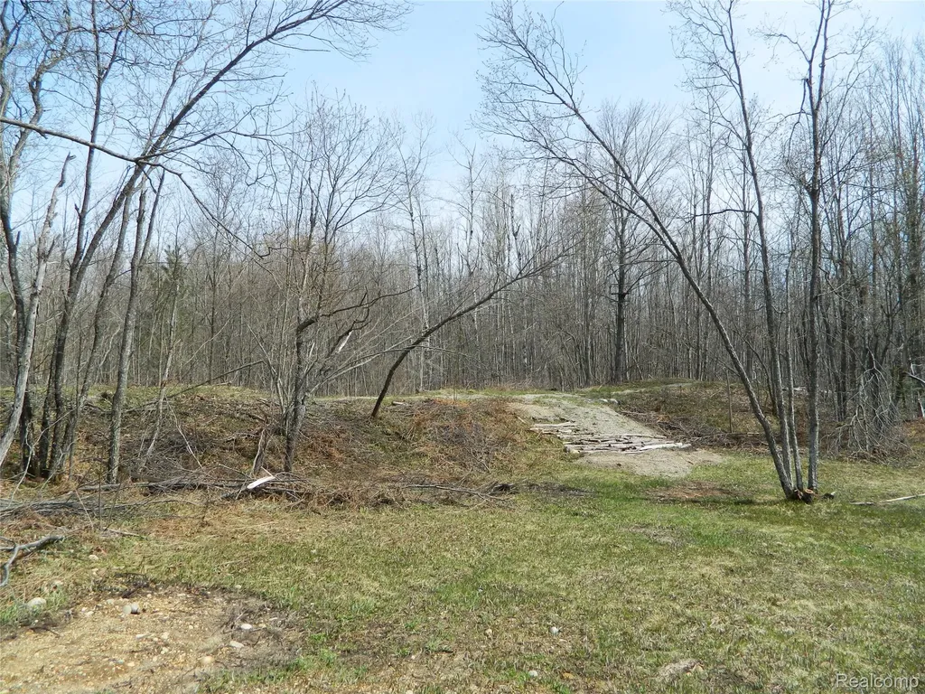 0000 Northland Drive Maple Forest Township MI 49733