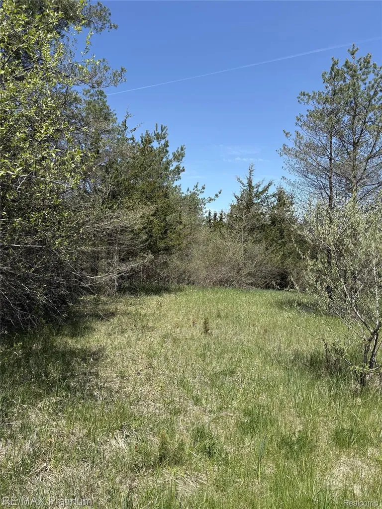 Parcel 7 Fisher Road Howell Township MI 48855