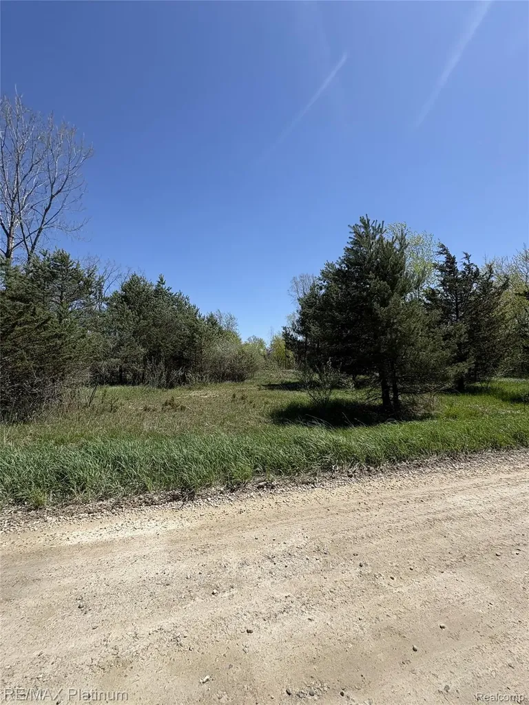 Parcel 7 Fisher Road Howell Township MI 48855
