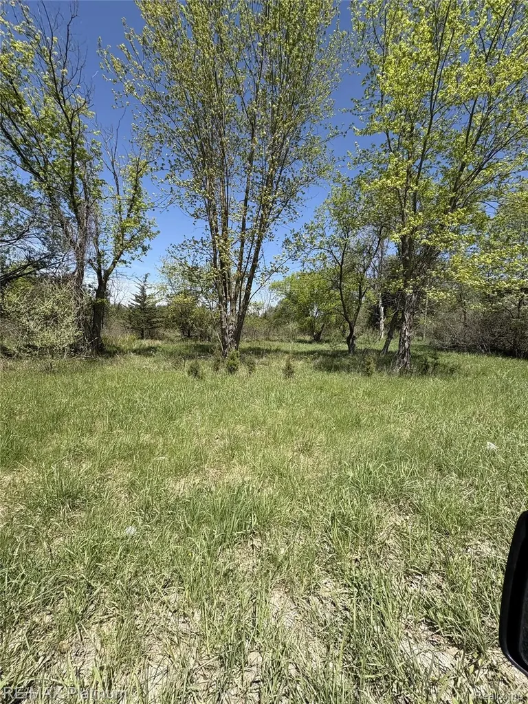 Parcel 7 Fisher Road Howell Township MI 48855