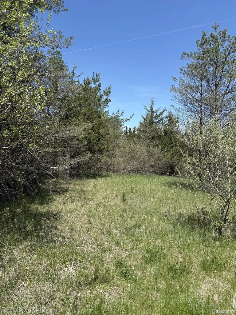 Parcel 7 Fisher Road Howell Township MI 48855