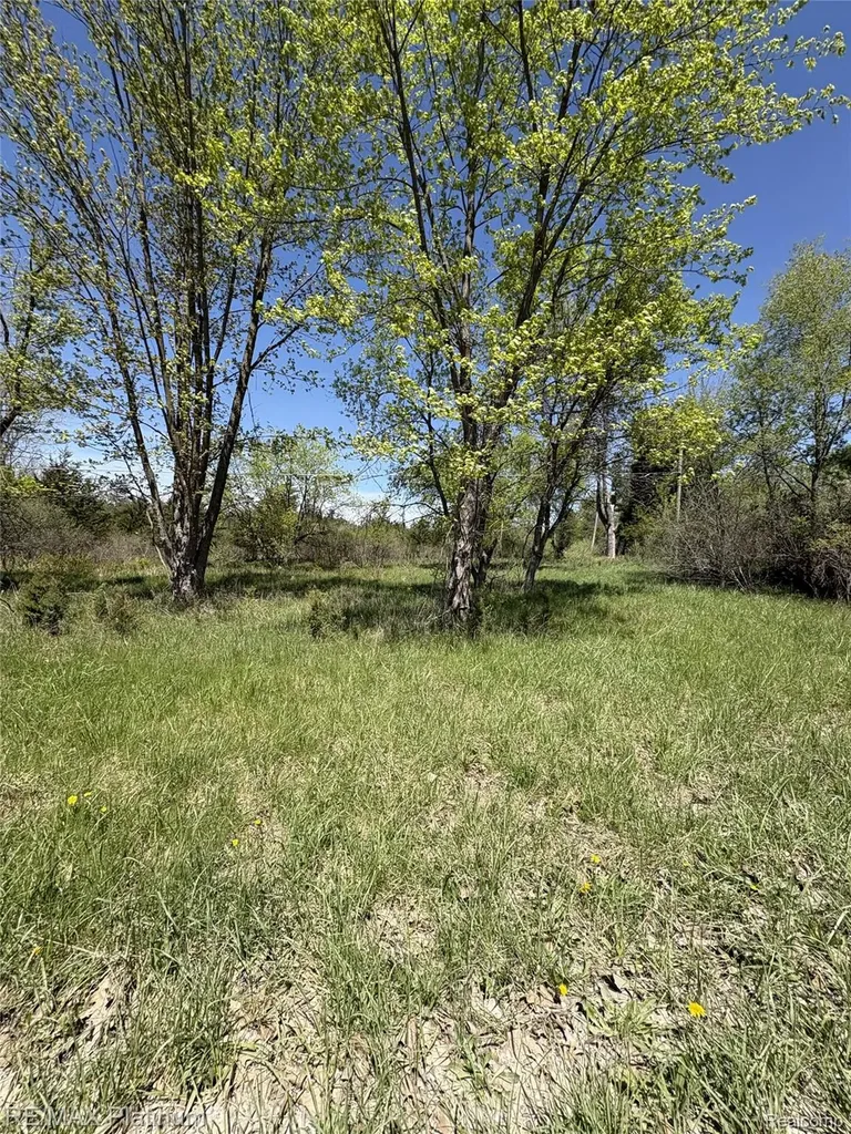 Parcel 7 Fisher Road Howell Township MI 48855