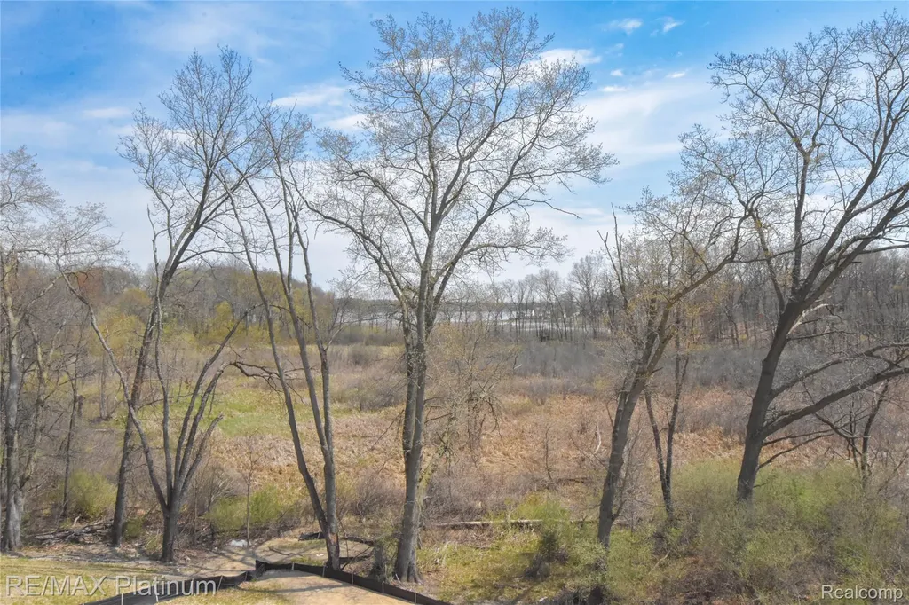 4570 Stillmeadow Genoa Township MI 48843