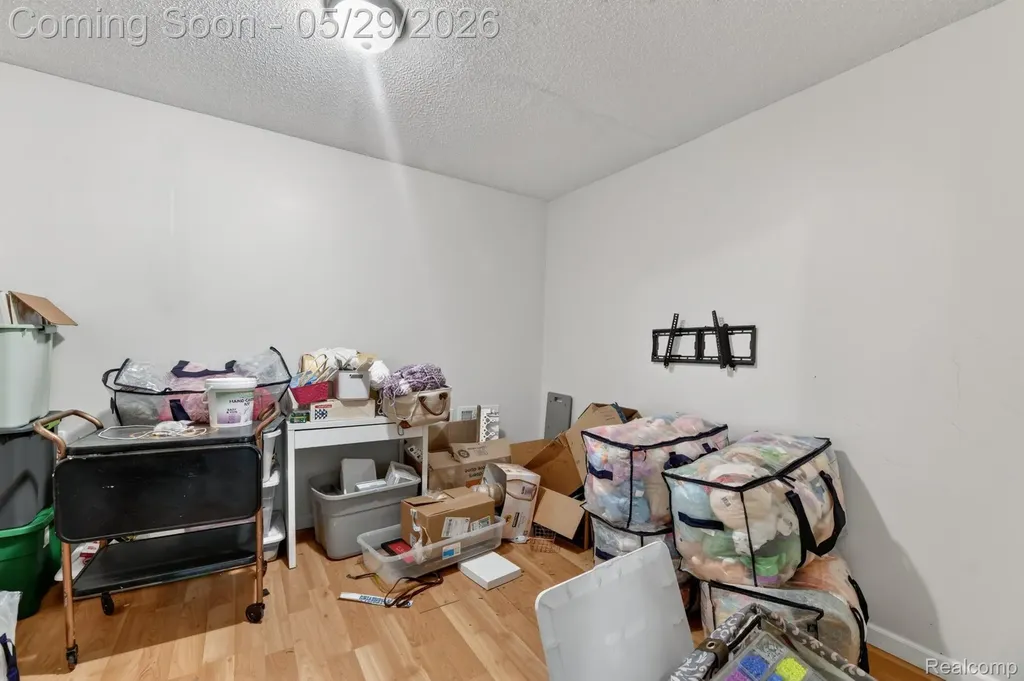 3845 Lake Lapeer Drive Elba Township MI 48455