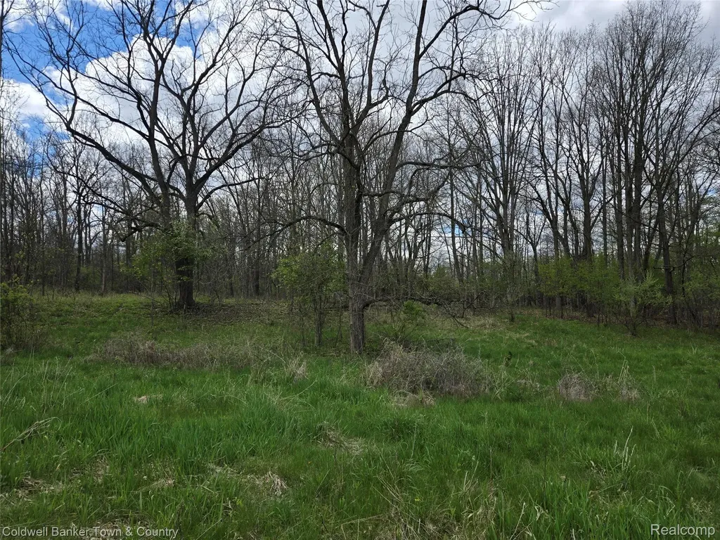 00000 E Northfield Church Road Northfield Township MI 48189