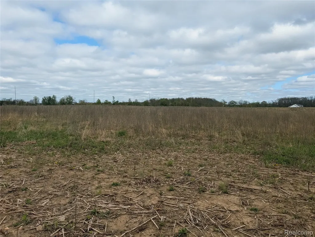 Parcel E Hogan Road Fenton Charter Township MI 48451