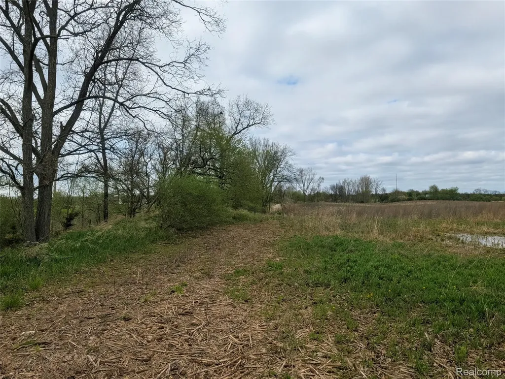 Parcel E Hogan Road Fenton Charter Township MI 48451