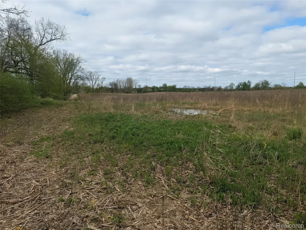 Parcel E Hogan Road Fenton Charter Township MI 48451