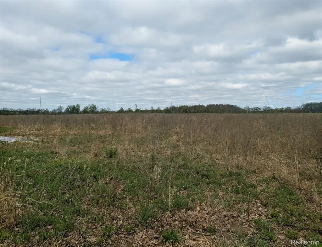Parcel E Hogan Road Fenton Charter Township MI 48451