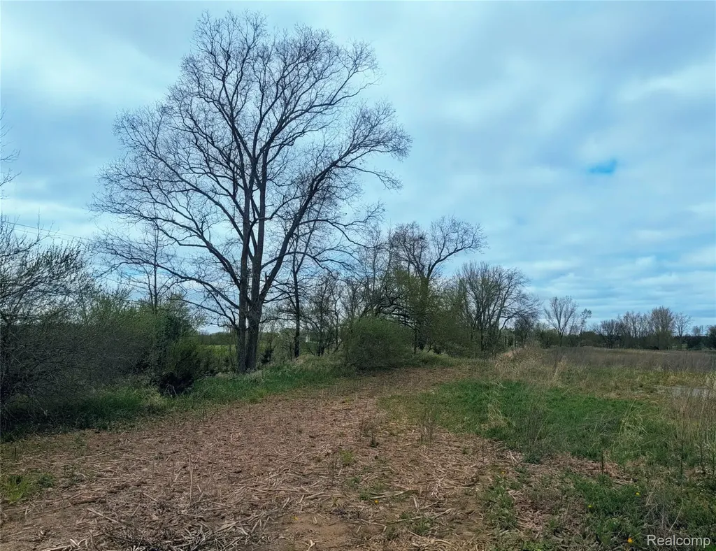 Parcel E Hogan Road Fenton Charter Township MI 48451