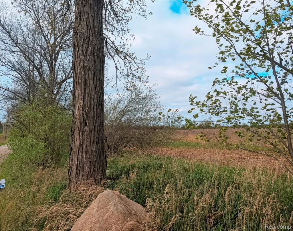 Parcel E Hogan Road Fenton Charter Township MI 48451