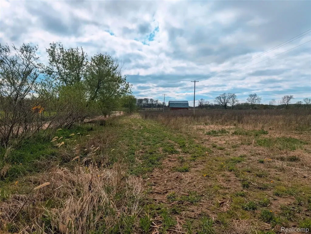 Parcel E Hogan Road Fenton Charter Township MI 48451