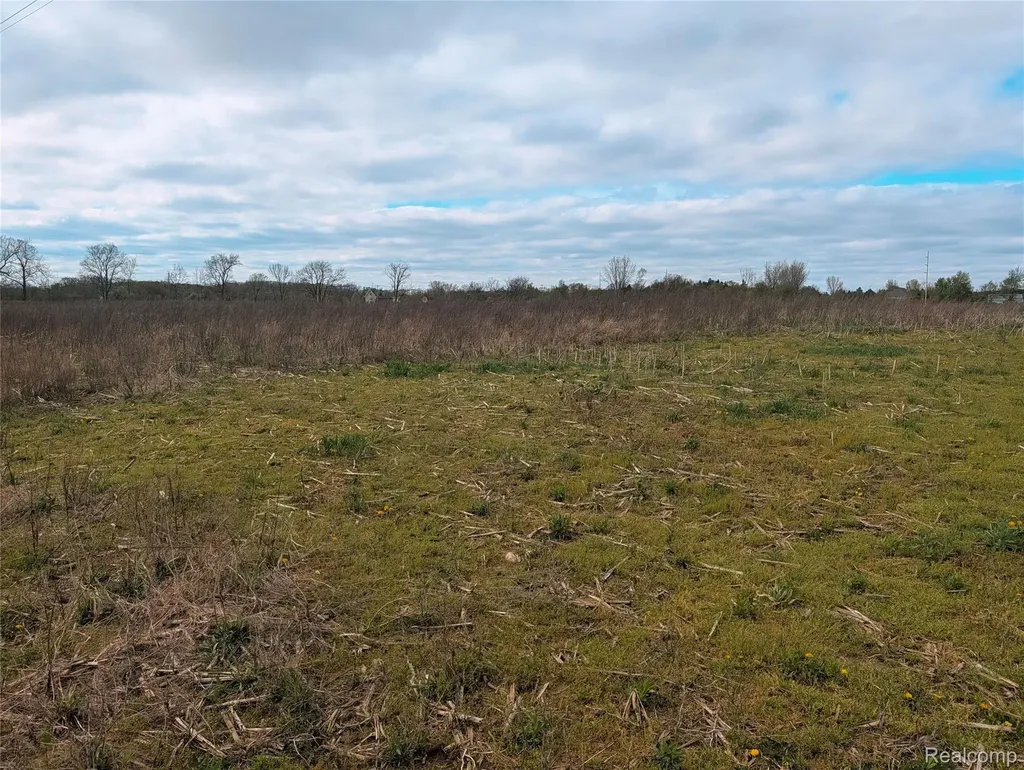 Parcel E Hogan Road Fenton Charter Township MI 48451
