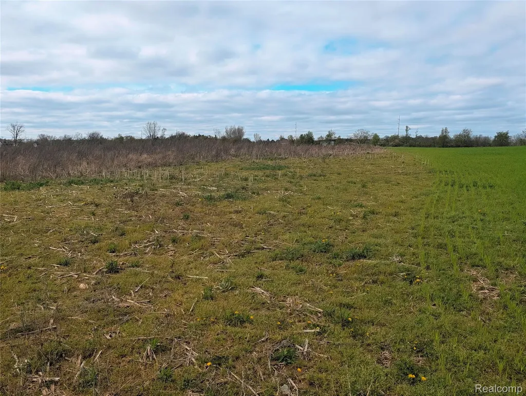 Parcel E Hogan Road Fenton Charter Township MI 48451