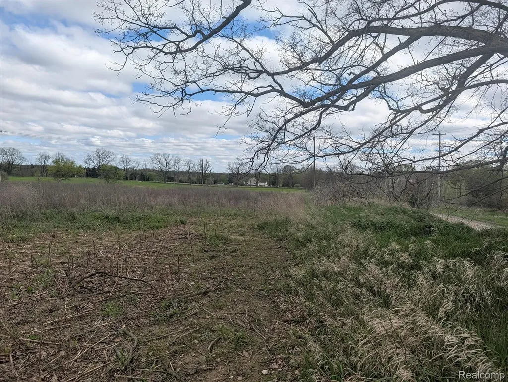 Parcel E Hogan Road Fenton Charter Township MI 48451