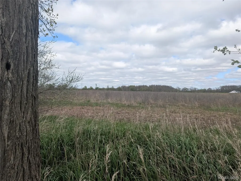 Parcel E Hogan Road Fenton Charter Township MI 48451