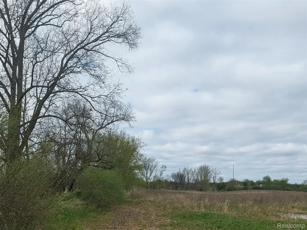 Parcel E Hogan Road Fenton Charter Township MI 48451