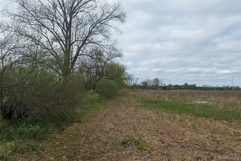 Parcel E Hogan Road Fenton Charter Township MI 48451