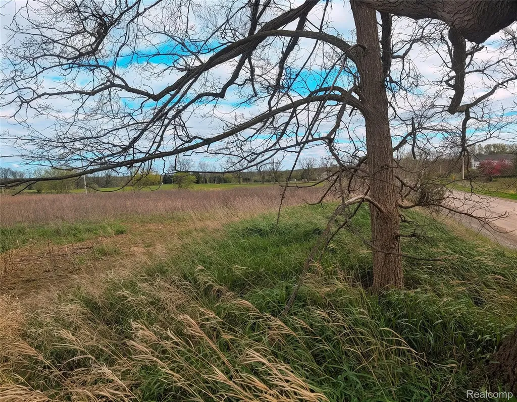 Parcel E Hogan Road Fenton Charter Township MI 48451