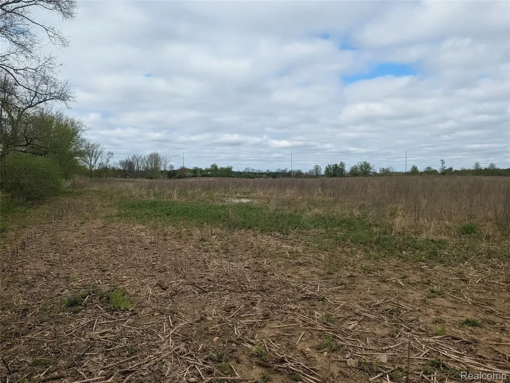 Parcel E Hogan Road Fenton Charter Township MI 48451