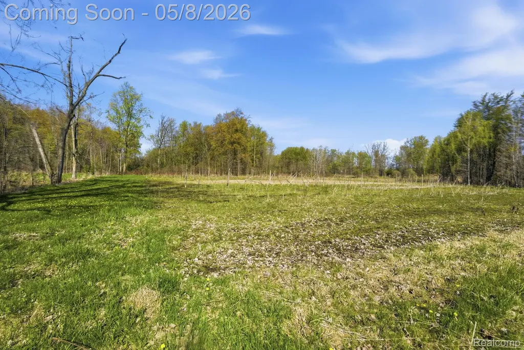2905 S Plain Road Wells Township MI 48723