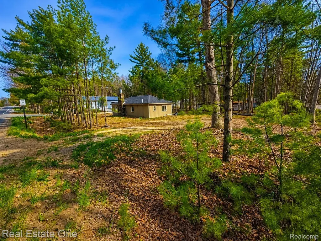 1961 N Beechwood Drive Golden Township MI 49436