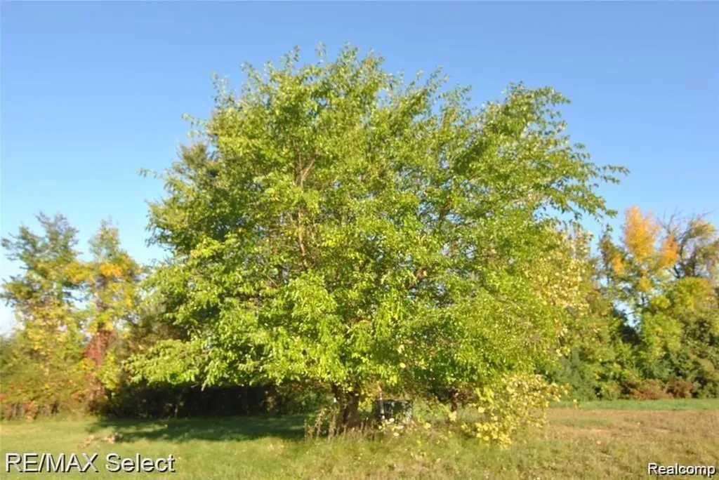 6483 Bay Kochville Township MI 48604