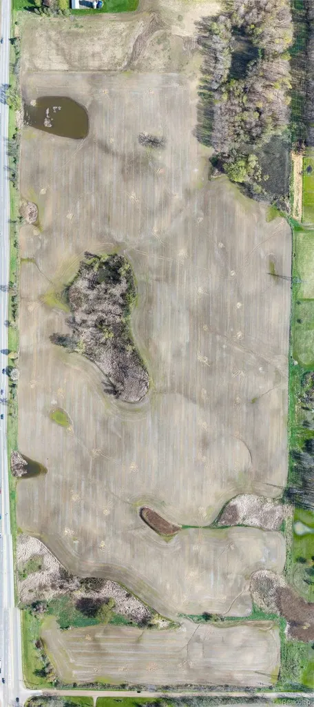 Parcel 5 Lapeer Road Metamora Township MI 48371