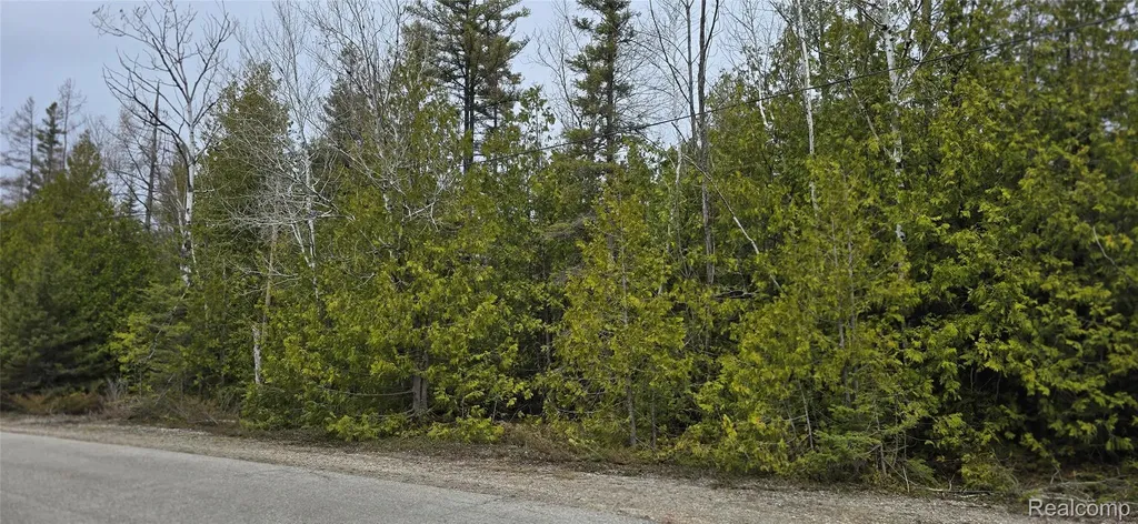 Vl Lot 332 Balsam Drive Presque Isle Township MI 49777