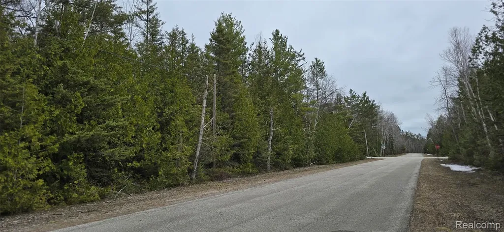 Vl Lot 332 Balsam Drive Presque Isle Township MI 49777