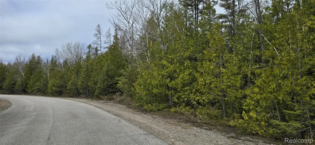 Vl Lot 332 Balsam Drive Presque Isle Township MI 49777
