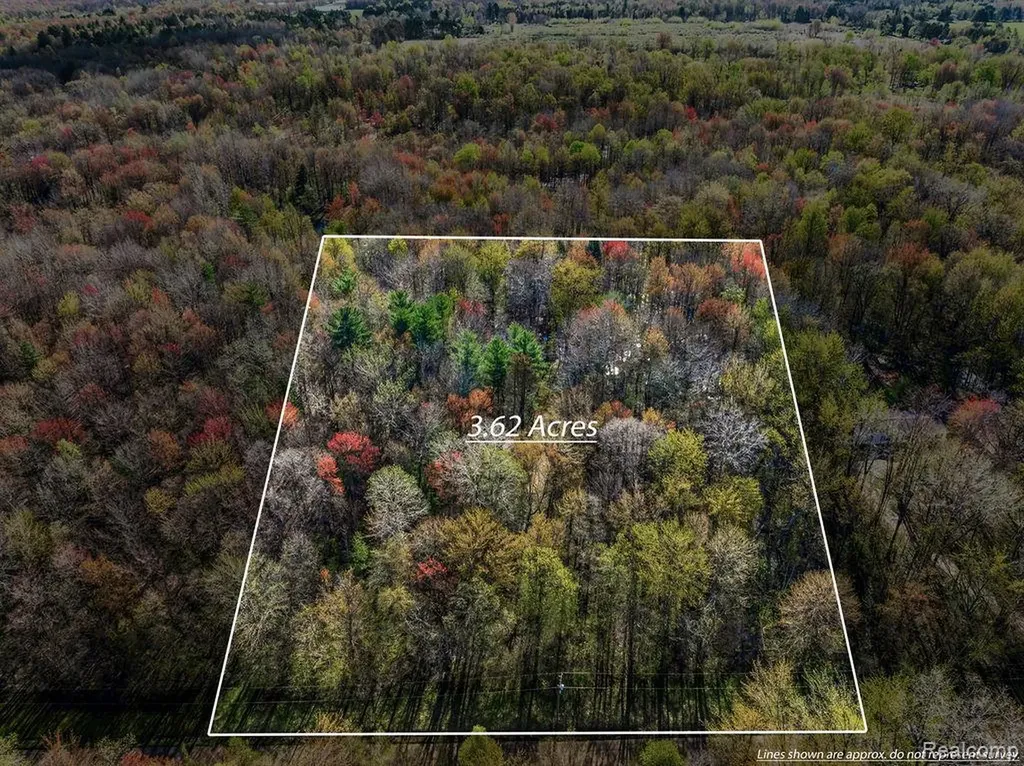 6799 Maplegrove Road Vassar Township MI 48768