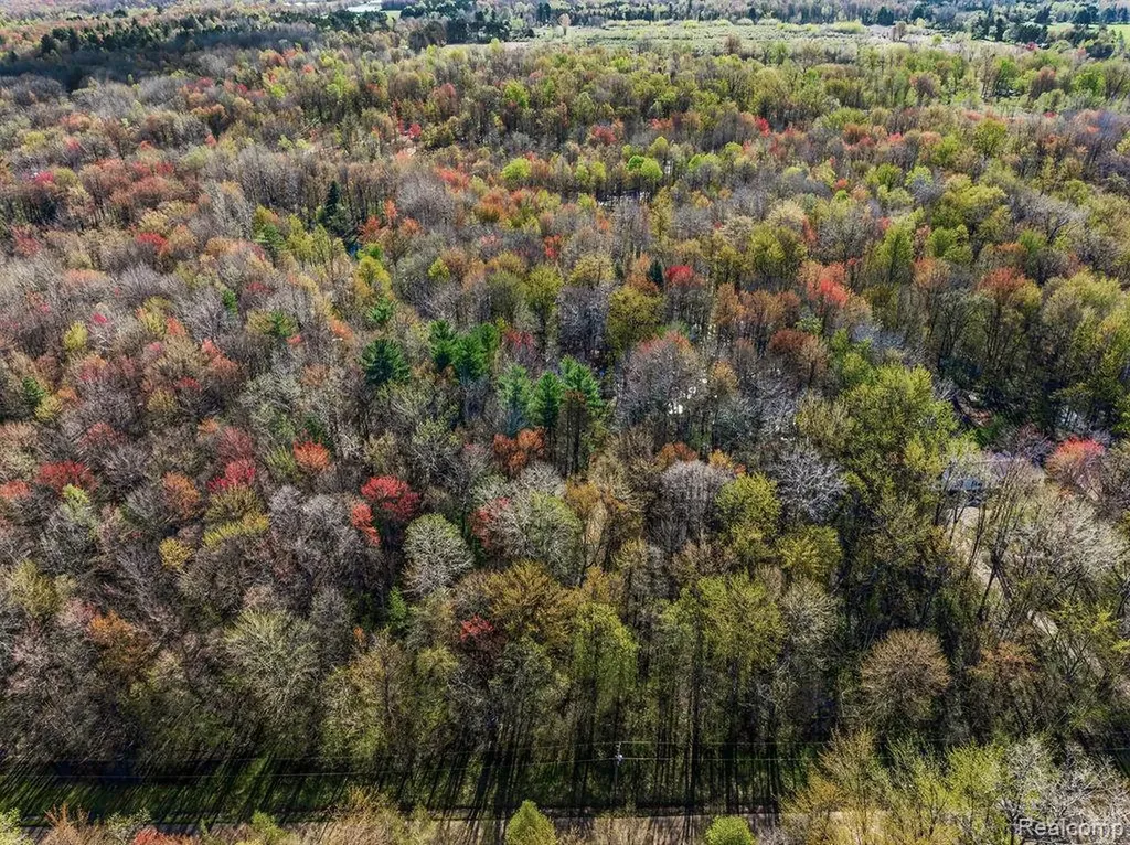 6799 Maplegrove Road Vassar Township MI 48768
