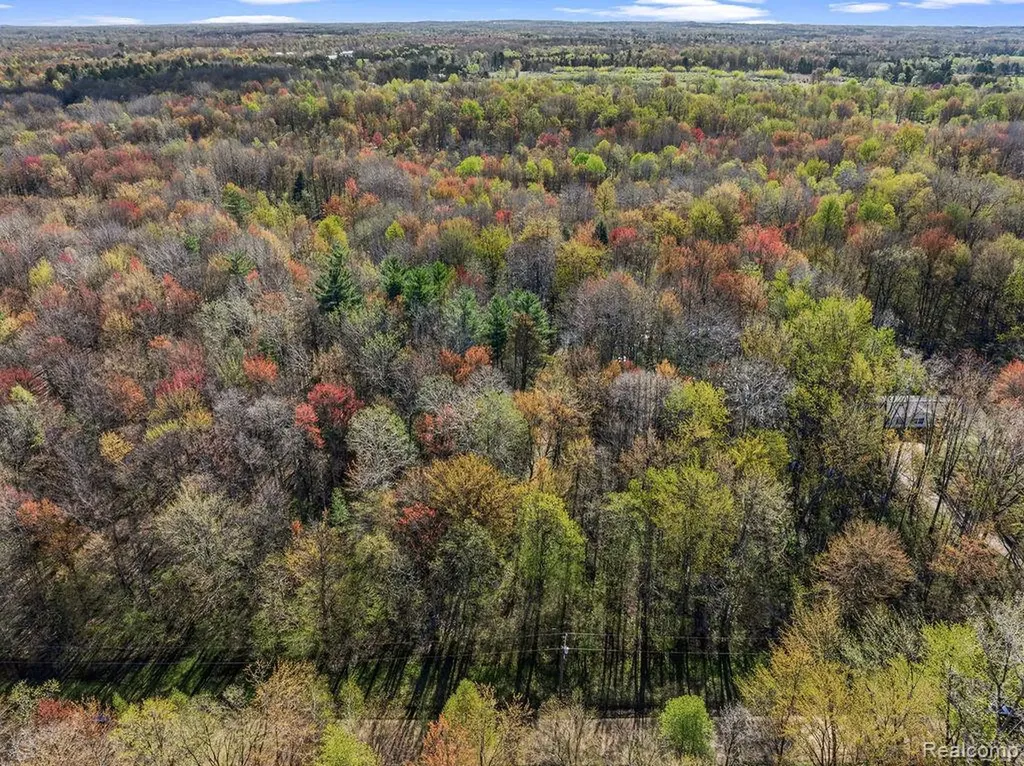 6799 Maplegrove Road Vassar Township MI 48768