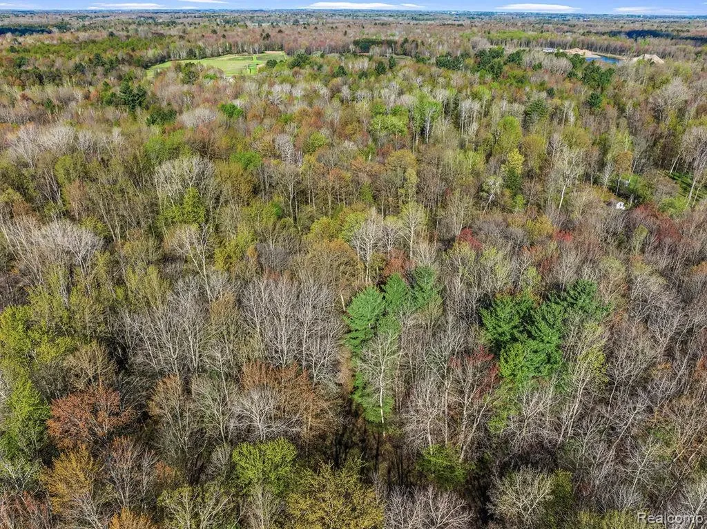 6799 Maplegrove Road Vassar Township MI 48768