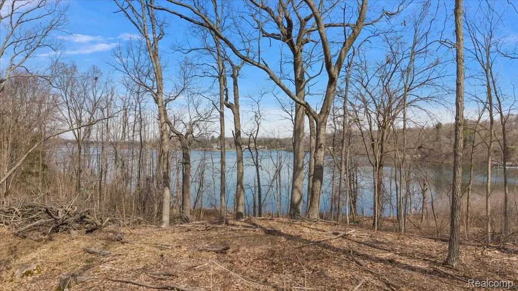 10515 Horton Road Atlas Township MI 48438