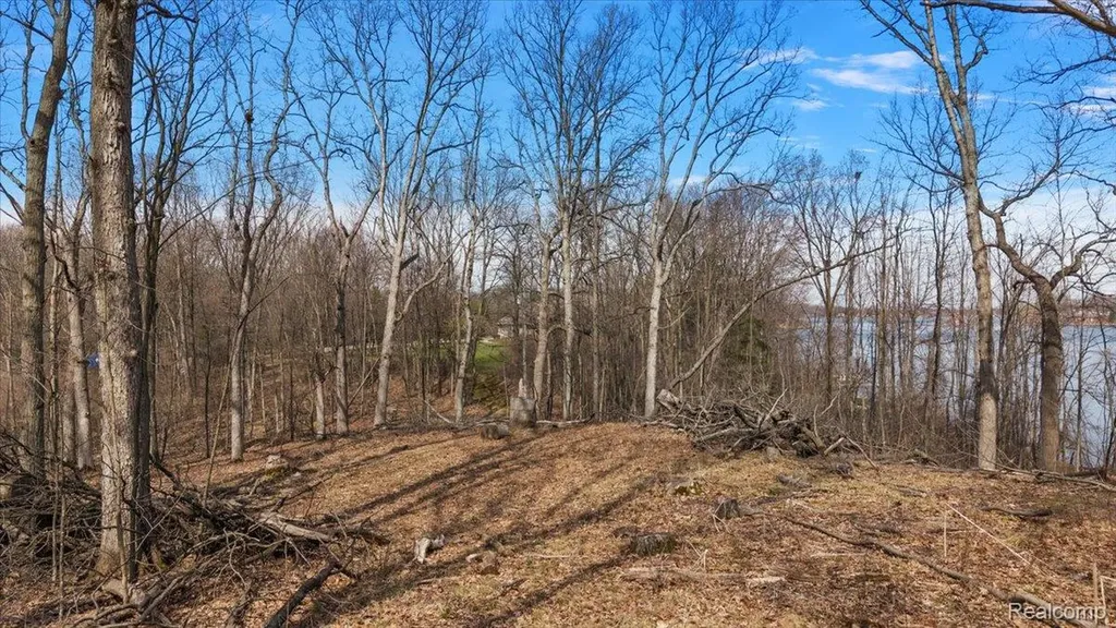 10515 Horton Road Atlas Township MI 48438