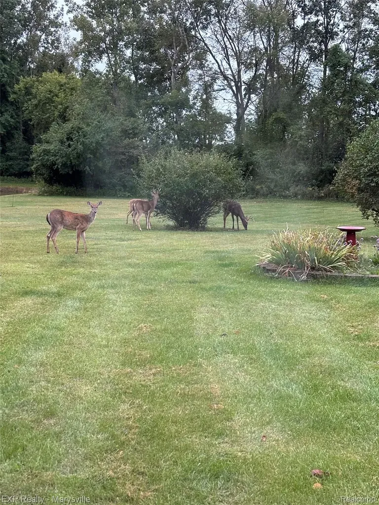 12980 Metcalf Road Brockway Township MI 48097