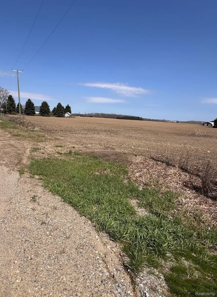 0000 Fitch And Sanilac Road NE Bridgehampton Township MI 48419