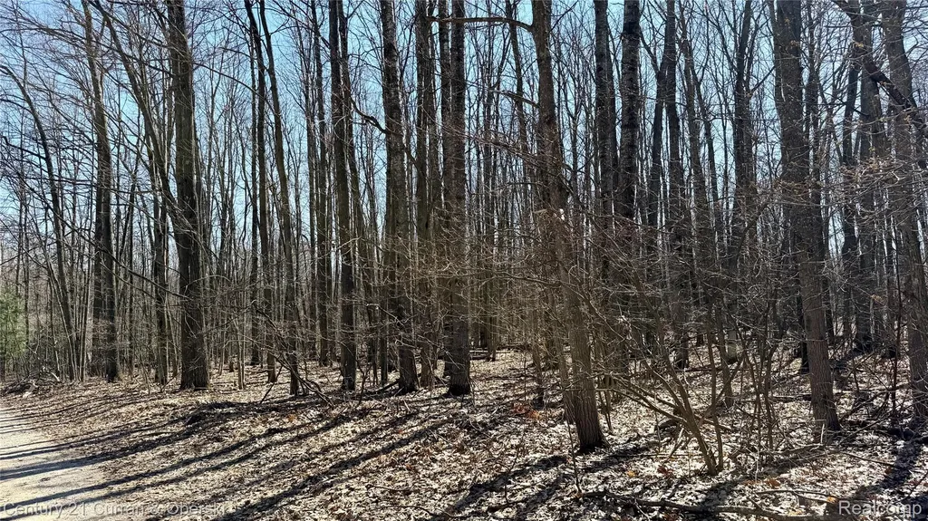304 Balsam Road Roscommon Village MI 48653