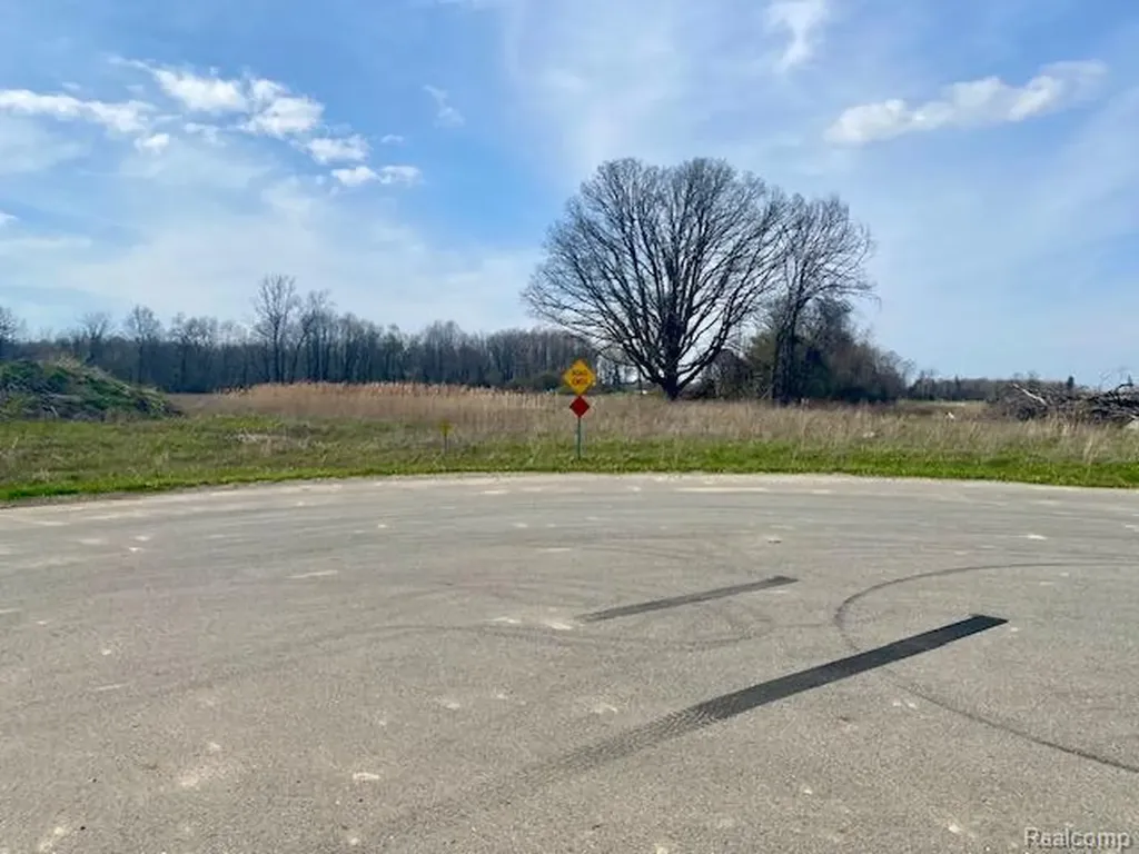 0005C Daisy Lane Almont Township MI 48003