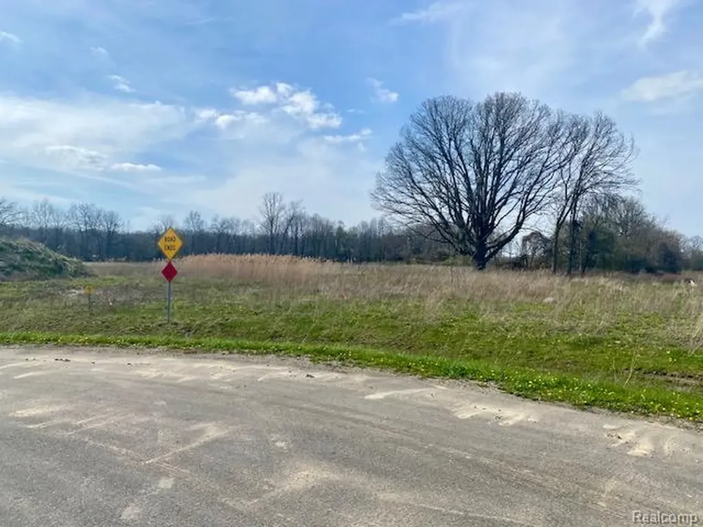 0005C Daisy Lane Almont Township MI 48003