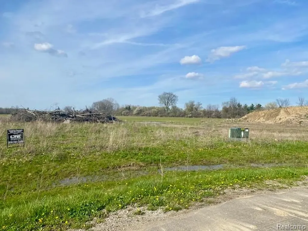 0005B Daisy Lane Almont Township MI 48003