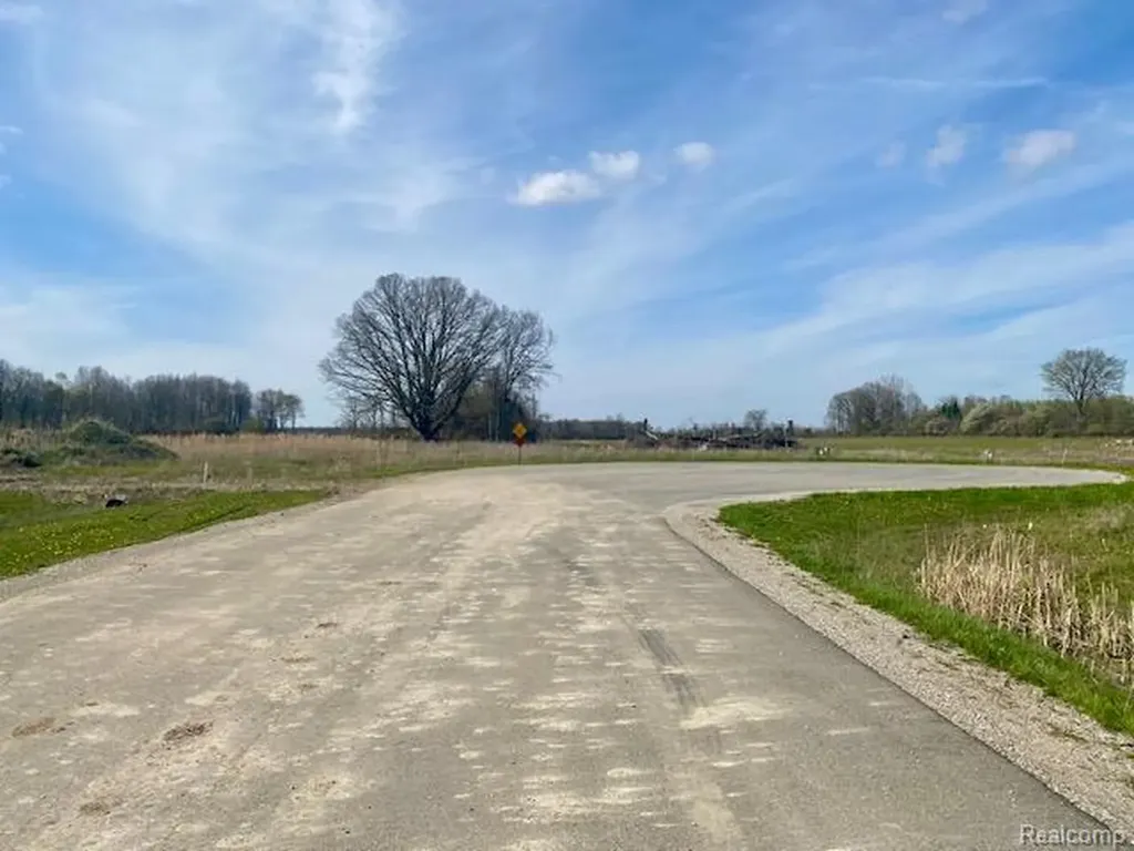 0005B Daisy Lane Almont Township MI 48003