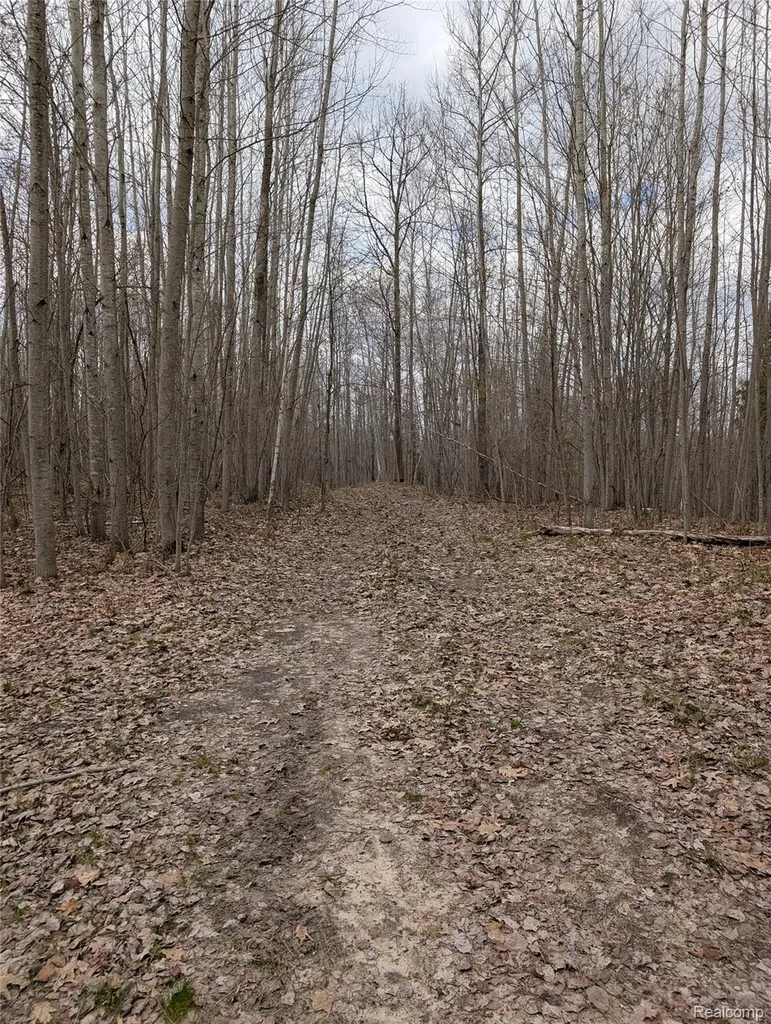 2889 Mill Station Road E Plainfield Township MI 48739