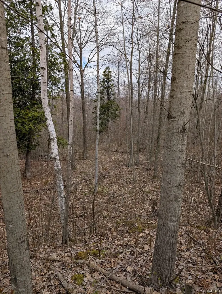 2889 Mill Station Road E Plainfield Township MI 48739
