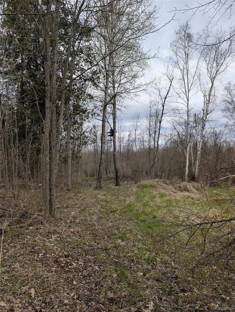 2889 Mill Station Road E Plainfield Township MI 48739