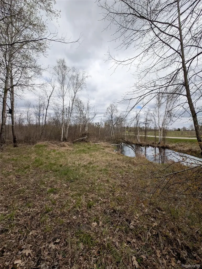2889 Mill Station Road E Plainfield Township MI 48739